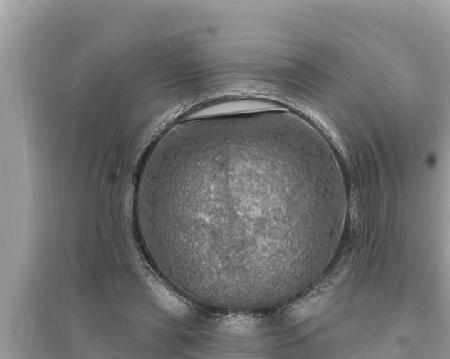 X0000095550445200712211413