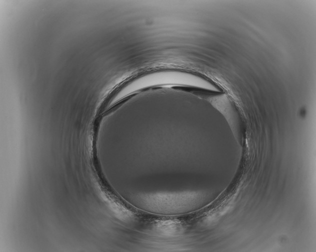 X0000095550446200712211413