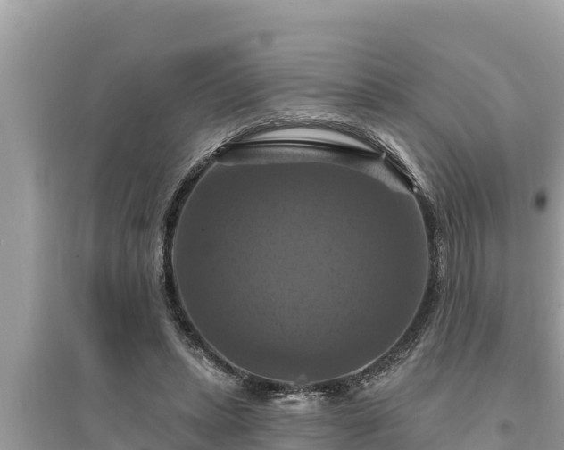 X0000095550447200712211413