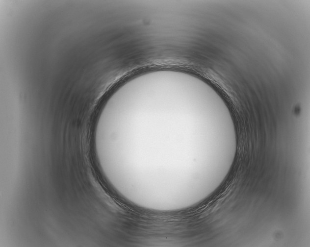 X0000095550448200712211413