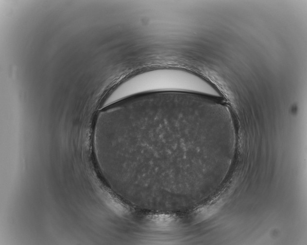 X0000095550449200712211413