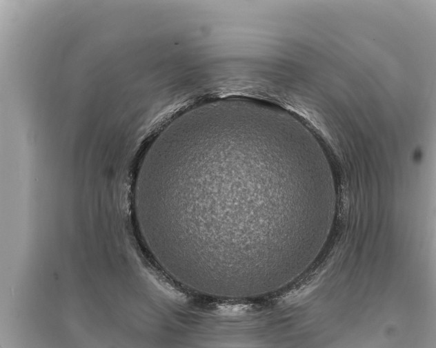 X0000095550450200712211413