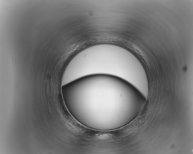 X0000095550452200712211413