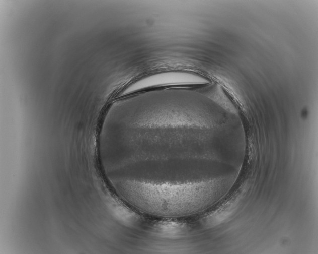 X0000095550453200712211413