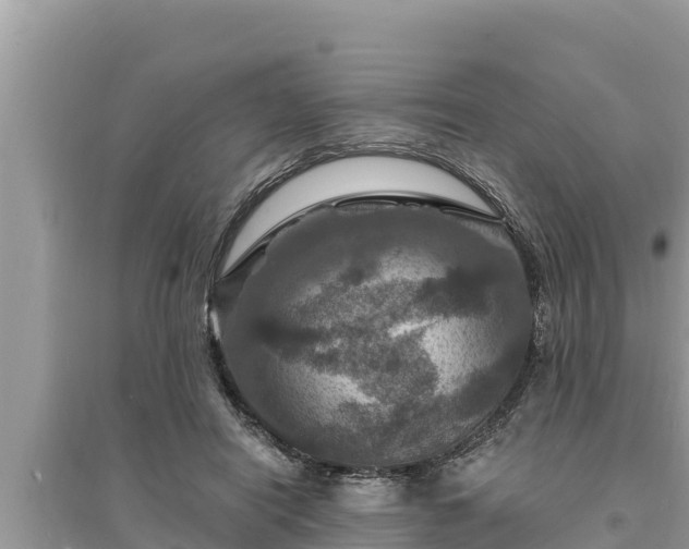 X0000095550454200712211413