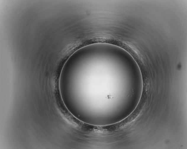 X0000095550455200712211413