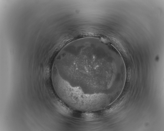 X0000095550457200712211413