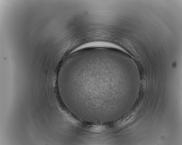 X0000095550458200712211413