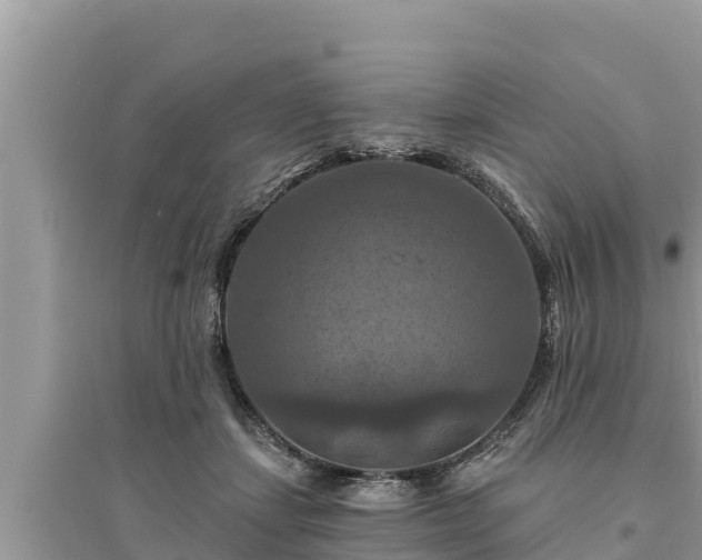 X0000095550459200712211413