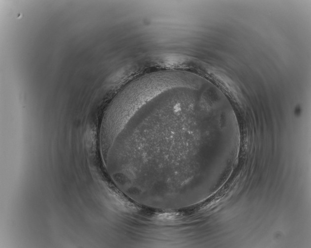 X0000095550461200712211413