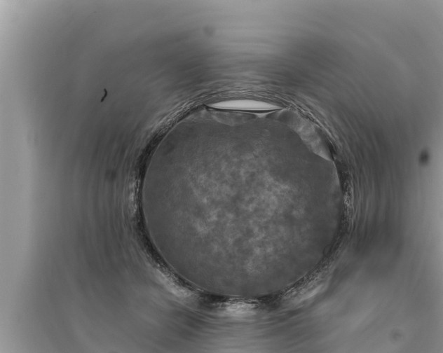 X0000095550462200712211413