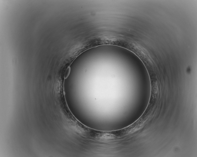 X0000095550463200712211413