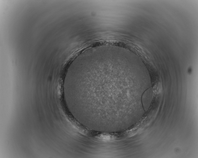 X0000095550464200712211413