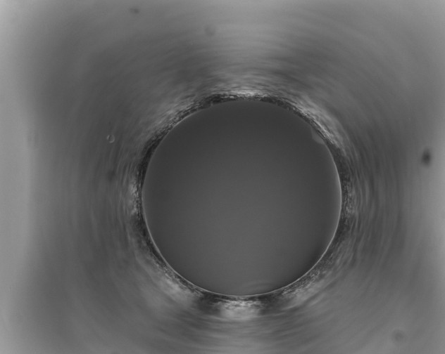 X0000095550465200712211413