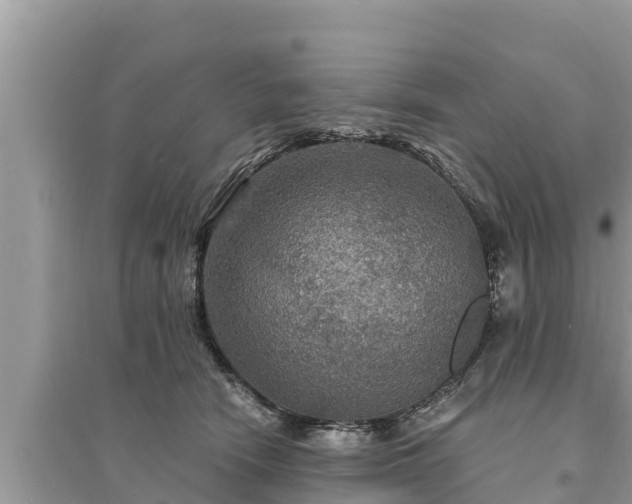 X0000095550466200712211413