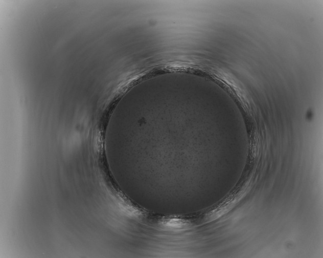 X0000095550467200712211413