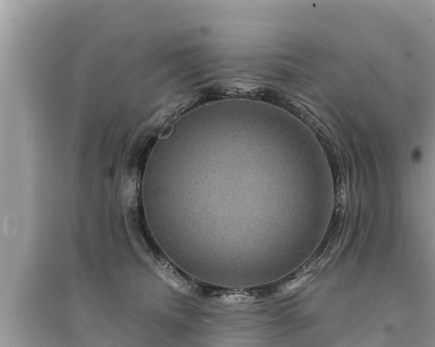 X0000095550468200712211413