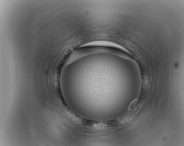 X0000095550470200712211413