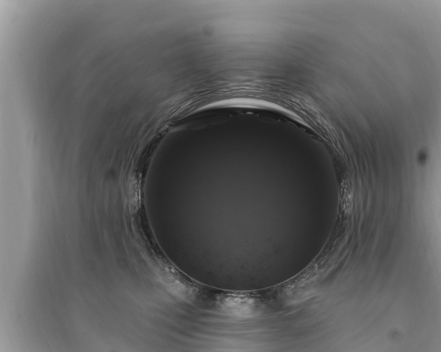 X0000095550471200712211413