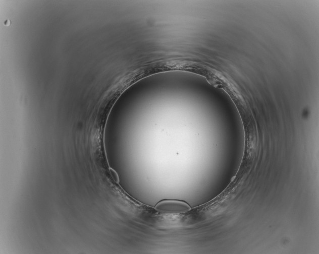 X0000095550473200712211413