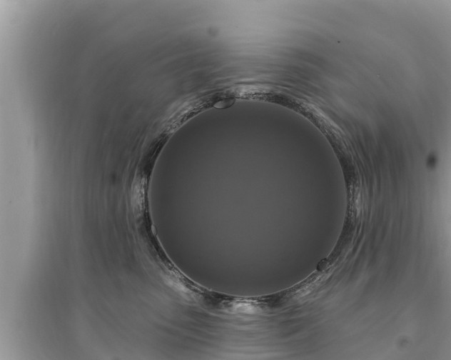 X0000095550475200712211413