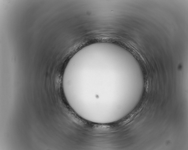 X0000095550476200712211413