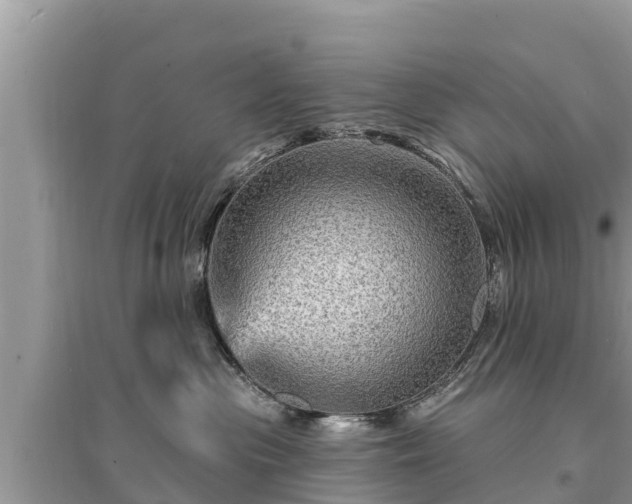 X0000095550477200712211413