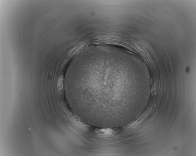 X0000095550478200712211413