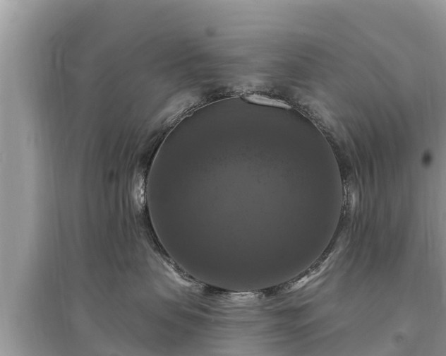 X0000095550479200712211413