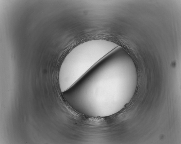 X0000095550480200712211413