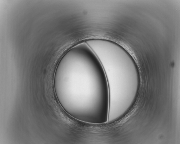 X0000095550481200712211413