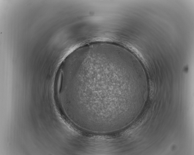 X0000095550482200712211413