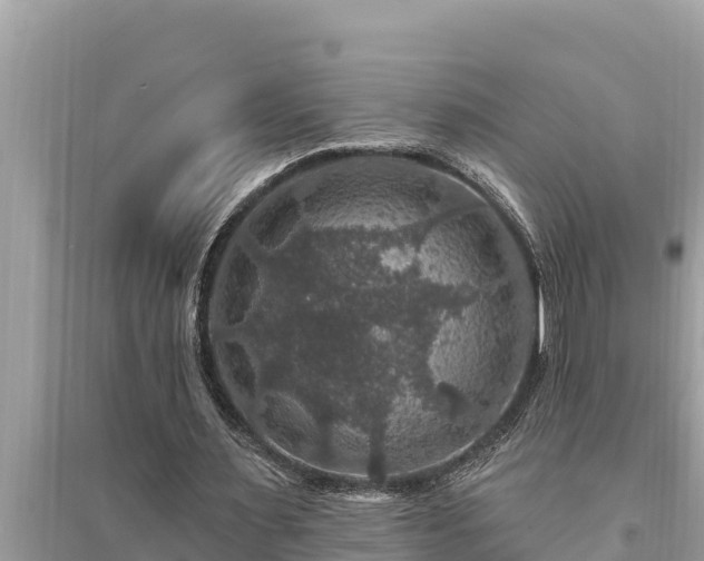 X0000095550483200712211413