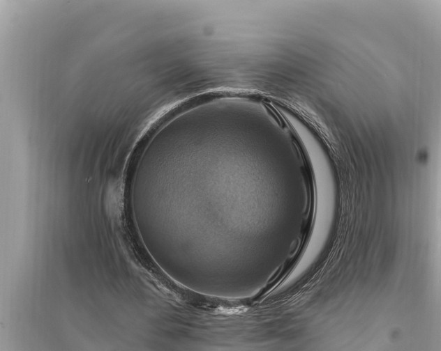 X0000095550484200712211413