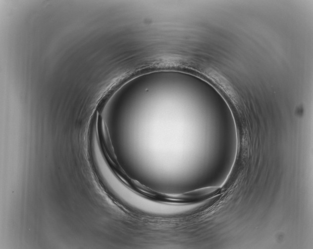 X0000095550485200712211413