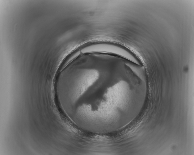 X0000095550487200712211413