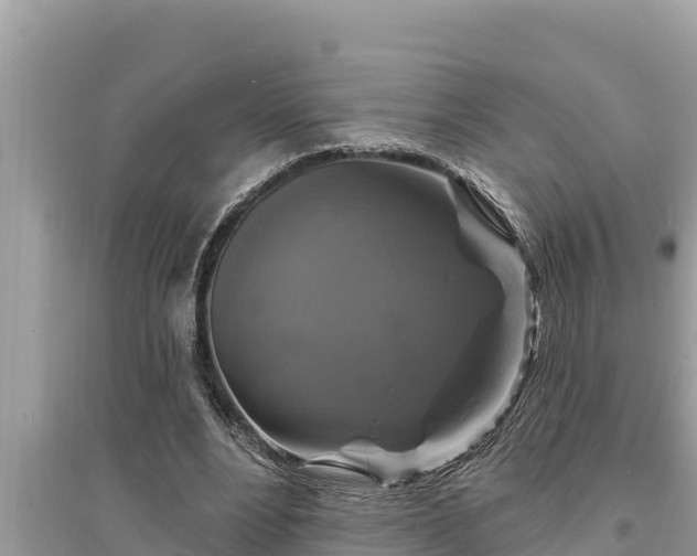 X0000095550488200712211413