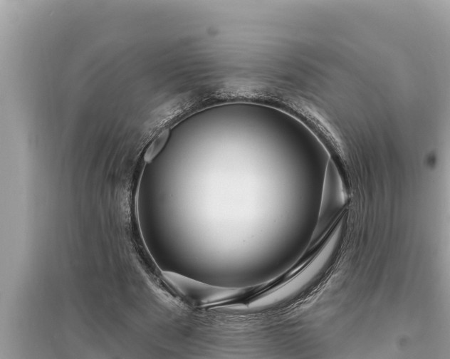 X0000095550489200712211413