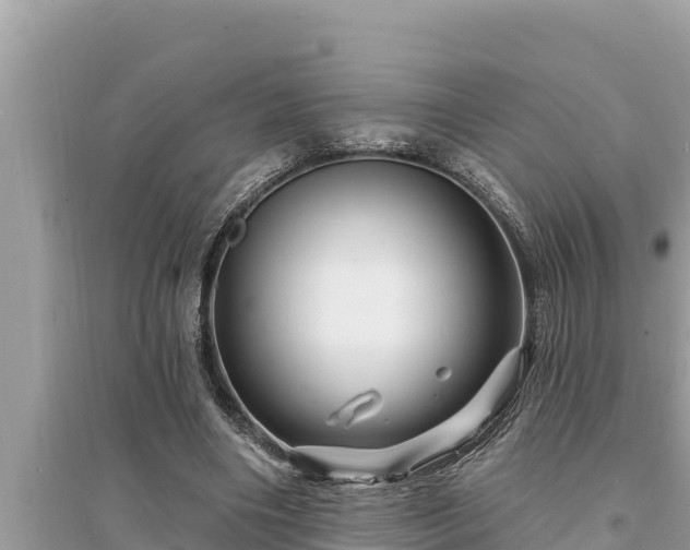 X0000095550490200712211413