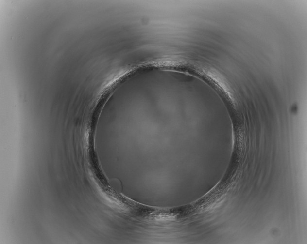 X0000095550491200712211413