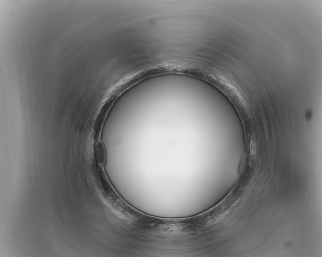 X0000095550492200712211413