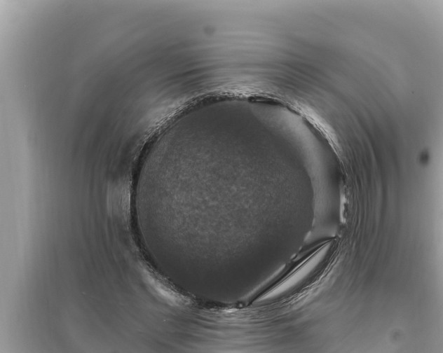 X0000095550493200712211413