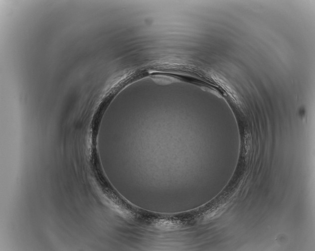 X0000095550494200712211413