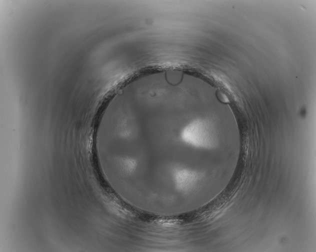 X0000095550495200712211413