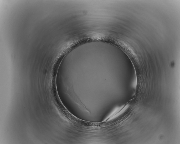 X0000095550496200712211413