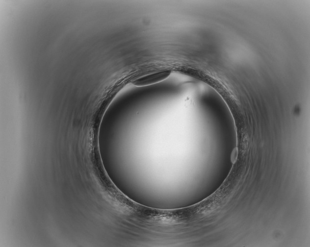 X0000095550498200712211413