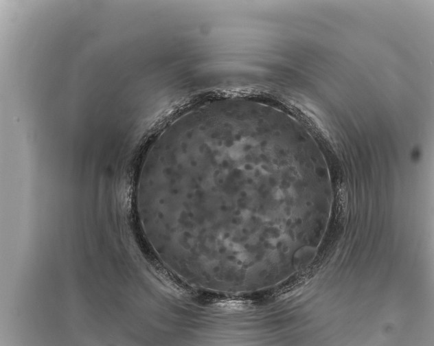 X0000095550499200712211413