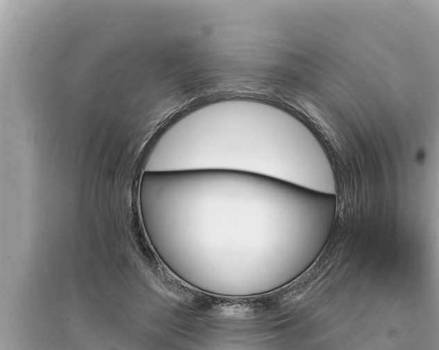 X0000095550500200712211413