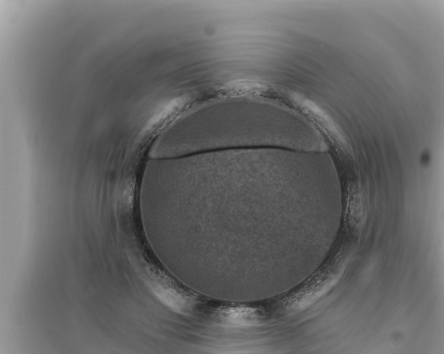 X0000095550501200712211413