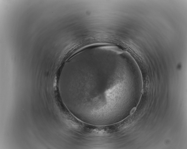 X0000095550502200712211412